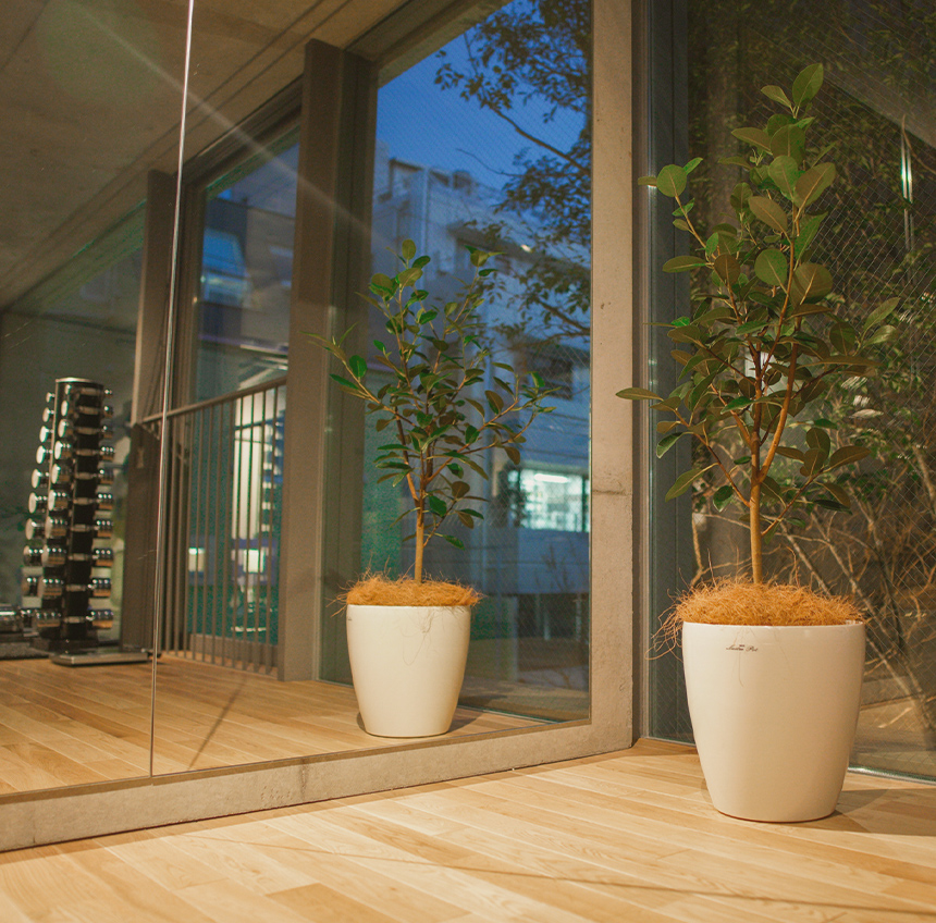 Secret Bay's FIT Tokyo が選ばれる7つの理由